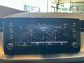 Skoda Kamiq Essence TSI Grau - thumbnail 22
