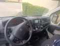 Peugeot Boxer TOLE 330 L1H1 BLUEHDI 110 PREMIUM - thumbnail 3