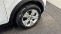 Kia Sportage 2.0 X-ecutive Plus Pack CRUISE ECC TREKHAAK. Blanc - thumbnail 12
