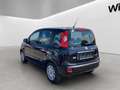 Fiat Panda 1,0 FireFly Hybrid 70 Hybrid Schwarz - thumbnail 4