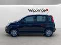 Fiat Panda 1,0 FireFly Hybrid 70 Hybrid Schwarz - thumbnail 3
