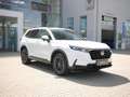 Honda CR-V 2.0  e:HEV ADVANCE AWD PANORAMA+BOSE+LEDER Wit - thumbnail 5