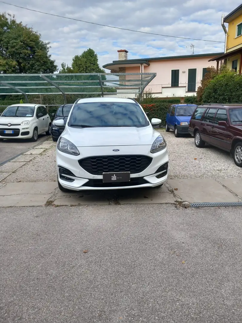 Ford Kuga Kuga 1.5 EcoBlue 120 CV 2WD ST-Line Bianco - 2