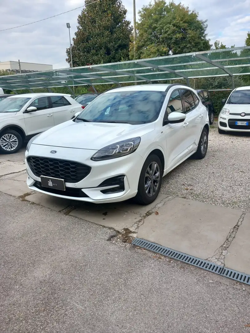 Ford Kuga Kuga 1.5 EcoBlue 120 CV 2WD ST-Line Bianco - 1