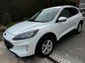 Ford Kuga 2,5 Plugin Hybrid Titanium X Garantie bis 04/2029 Weiß - thumbnail 3