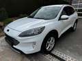 Ford Kuga 2,5 Plugin Hybrid Titanium X Garantie bis 04/2029 Weiß - thumbnail 1