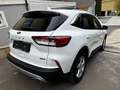 Ford Kuga 2,5 Plugin Hybrid Titanium X Garantie bis 04/2029 Weiß - thumbnail 6
