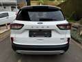 Ford Kuga 2,5 Plugin Hybrid Titanium X Garantie bis 04/2029 Weiß - thumbnail 5