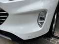 Ford Kuga 2,5 Plugin Hybrid Titanium X Garantie bis 04/2029 Weiß - thumbnail 26