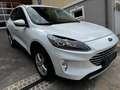 Ford Kuga 2,5 Plugin Hybrid Titanium X Garantie bis 04/2029 Weiß - thumbnail 7