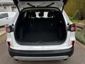 Ford Kuga 2,5 Plugin Hybrid Titanium X Garantie bis 04/2029 Weiß - thumbnail 22