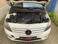 Mercedes-Benz B 180 CDI, AHK, Navi, aus 2. Besitz !!! Weiß - thumbnail 22