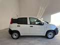 Fiat Panda VAN 2 POSTI  HYBRID 70 CV PARI AL NUOVO Alb - thumbnail 2