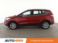 Ford Kuga 1.5 EcoBoost Titanium*NAVI*PDC*SHZ*AHK*KLIMA* Rot - thumbnail 3