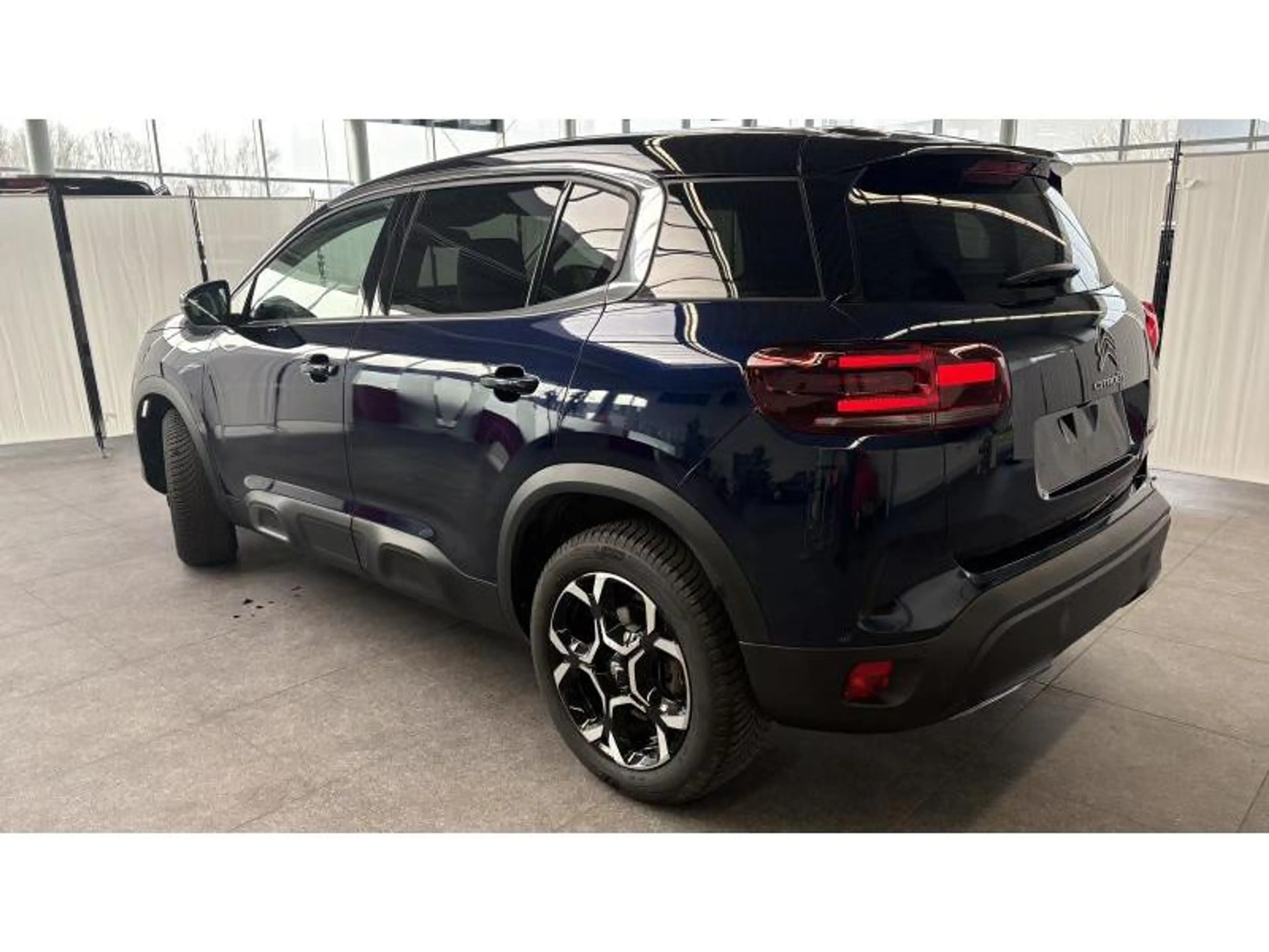 Citroen C5 Aircross 1.5 BlueHDi 130 S&S EAT8 MAX Citroën – 1.5 Blue — photo 10