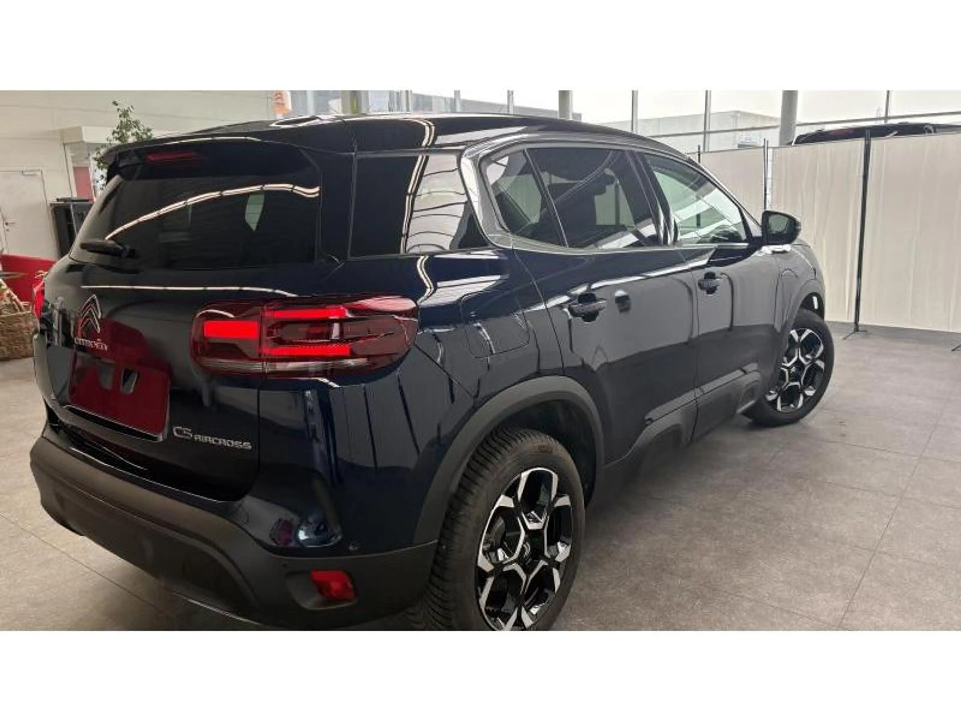 Citroen C5 Aircross 1.5 BlueHDi 130 S&S EAT8 MAX Citroën – 1.5 Blue — photo 12