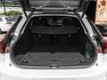 Volvo V90 Kombi B4 (Diesel) Mild-Hybrid Ultimate Bright Blanco - thumbnail 20