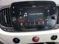 Fiat 500 Cult 1.0 Hybrid 51KW 70 CV Blanco - thumbnail 7