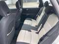 Volvo V50 R-Design Pro Edition*SHZ*NAVI*AHK*XENON Fehér - thumbnail 13