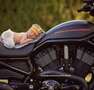 Harley-Davidson V-Rod Schwarz - thumbnail 3