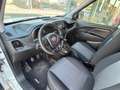 Fiat Doblo 1.3 T.D. 95 CV - FURGONE 2 POSTI - IVA ESPOSTA - Blanc - thumbnail 12