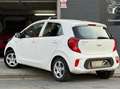 Kia Picanto Picanto 1.0i Pure ISG * 1ERE PROPRI *GARANTIE 2029 Blanco - thumbnail 4
