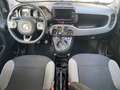 Fiat Panda 1.0 firefly hybrid City Life s&s 70cv 5p.ti - thumbnail 6