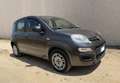 Fiat Panda 1.2 Lounge 69cv 2017 - thumbnail 4