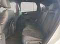 Ford Kuga 2.5 Duratec PHEV ST-LINE X Blanco - thumbnail 12