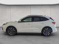 Ford Kuga 2.5 Duratec PHEV ST-LINE X Blanco - thumbnail 2