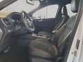 Ford Kuga 2.5 Duratec PHEV ST-LINE X Blanco - thumbnail 7