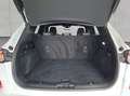 Ford Kuga 2.5 Duratec PHEV ST-LINE X Blanco - thumbnail 3