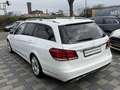 Mercedes-Benz E 250 CDI 4Matic Automatik*Leder/LED/Navi White - thumbnail 5