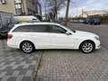 Mercedes-Benz E 250 CDI 4Matic Automatik*Leder/LED/Navi White - thumbnail 6