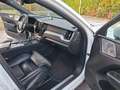Volvo XC60 R Design AWD Automatic  " VOLL-Ausstattung " Weiß - thumbnail 15