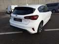 Ford Focus 1.0l ST-Line Design MHEV Limousine NAVI Blanc - thumbnail 4