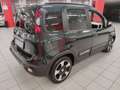Fiat Panda 1.0 70cv Hybrid Pandina Cross + Car Play "SUPER P Verde - thumbnail 4