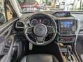 Subaru Forester 2.0ie Boxer Pano LED Kamera Pano ACC Blau - thumbnail 19