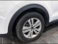 Kia Sportage 1.7 crdi Cool 2wd 115cv Bianco - thumbnail 13