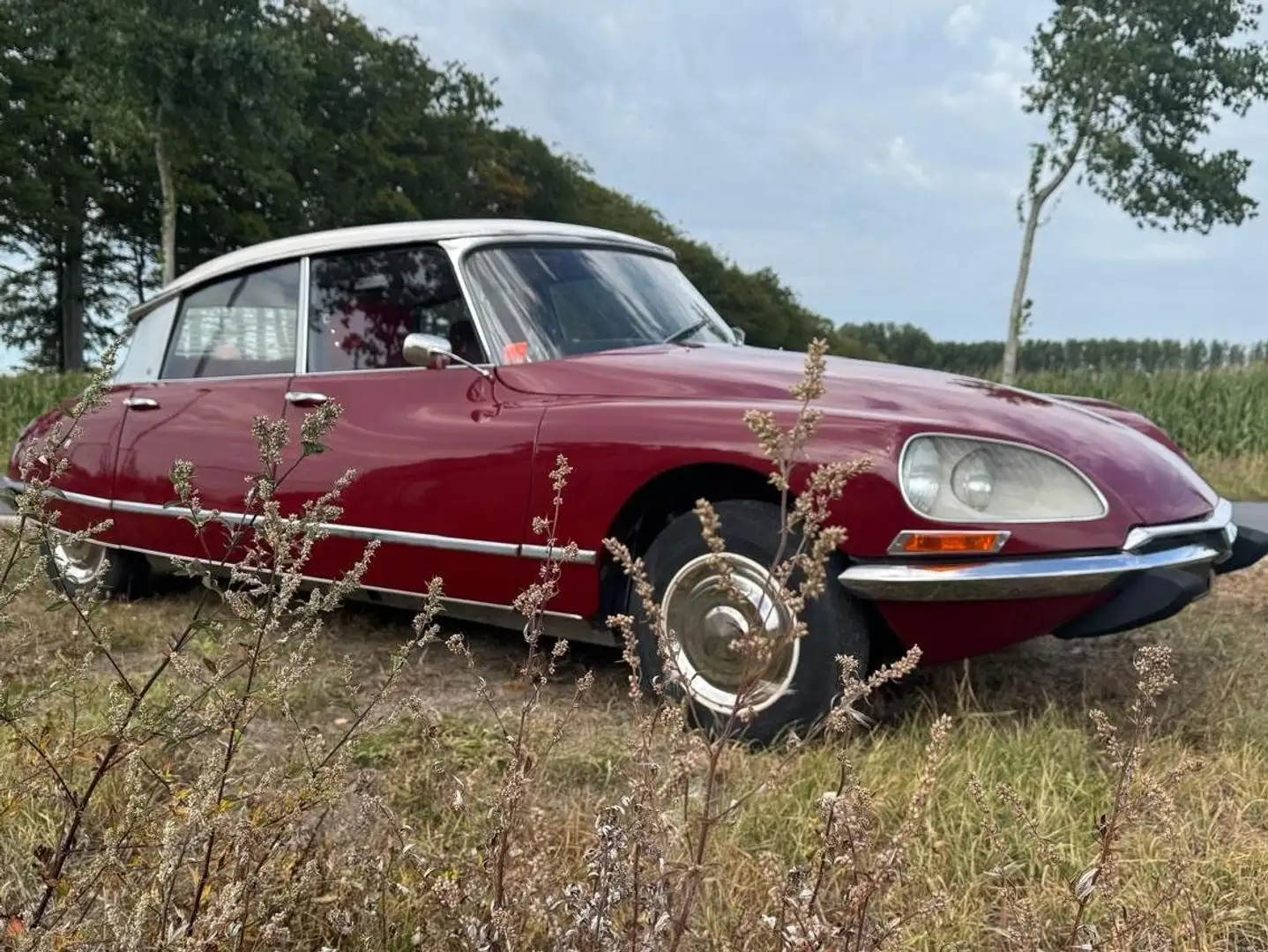 Citroen DS Citroën DS Palace 2.0 CC Oldtimer - restauriert Rot - 2