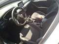 Ford Focus 1.5Ecoblue Trend+ 120 Weiß - thumbnail 7