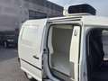Volkswagen Caddy 1.4TGI MAXI CNG*FRIGO FNAX(0°) STRADA RETE LUNGO- Bianco - thumbnail 17