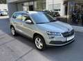 Skoda Karoq Ambition Grau - thumbnail 3