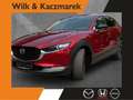 Mazda CX-30 2.5 AT Homura Navi Kamera HUD APP LED Rouge - thumbnail 1