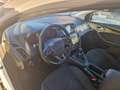 Ford Focus Focus SW 1.5 tdci Plus s Bianco - thumbnail 5