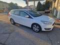 Ford Focus Focus SW 1.5 tdci Plus s Bianco - thumbnail 4