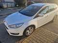 Ford Focus Focus SW 1.5 tdci Plus s Bianco - thumbnail 3