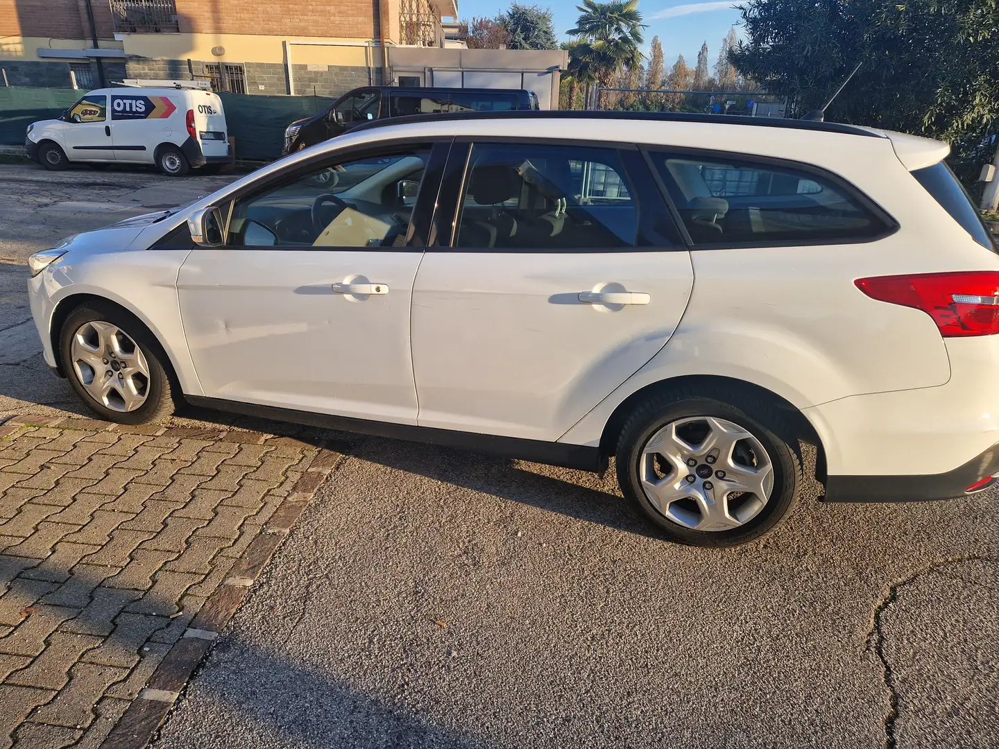 Ford Focus Focus SW 1.5 tdci Plus s Bianco - 2