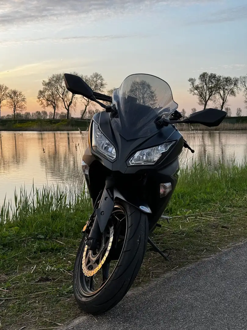 Kawasaki Ninja 300 Gris - 2