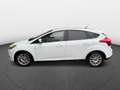 Ford Focus 1,6TDC Titanium-Leder-ACC-Navi-Abtempo-Pdc Blanco - thumbnail 8